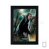 تابلو فیلم هری پاتر harry poter مدل N-2211004