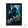 تابلو فیلم هری پاتر harry poter مدل N-2211007