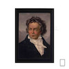تابلو بتهوون Ludwig van Beethoven مدل N-25915