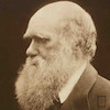 تابلو عکس چارلز داروین  Charles Darwin مدل N-991160
