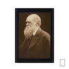 تابلو عکس چارلز داروین  Charles Darwin مدل N-991160