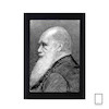 تابلو عکس چارلز داروین  Charles Darwin مدل N-991163