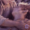 تابلو  مجموعه ارباب حلقه ها The lord of the rings مدل N-2211089