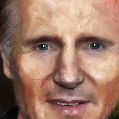 تابلو نقاشی لیام نیسون Liam Neeson مدل N-99398