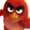 تابلو مخصوص اتاق کودک angry birds مدل N-13114