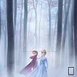 پوستر انیمیشن frozen مدل N-22538