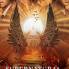 پوستر سریال supernatural مدل N-54105