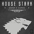 تابلو مینیمال نماد خاندان های سریال بازی تاج و تخت game of thrones مدل N-54015