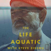 تابلو پوستر فیلم The Life Aquatic with Steve Zissou مدل N-22155