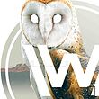 پوستر سریال دنیای غرب westworld مدل N-54130