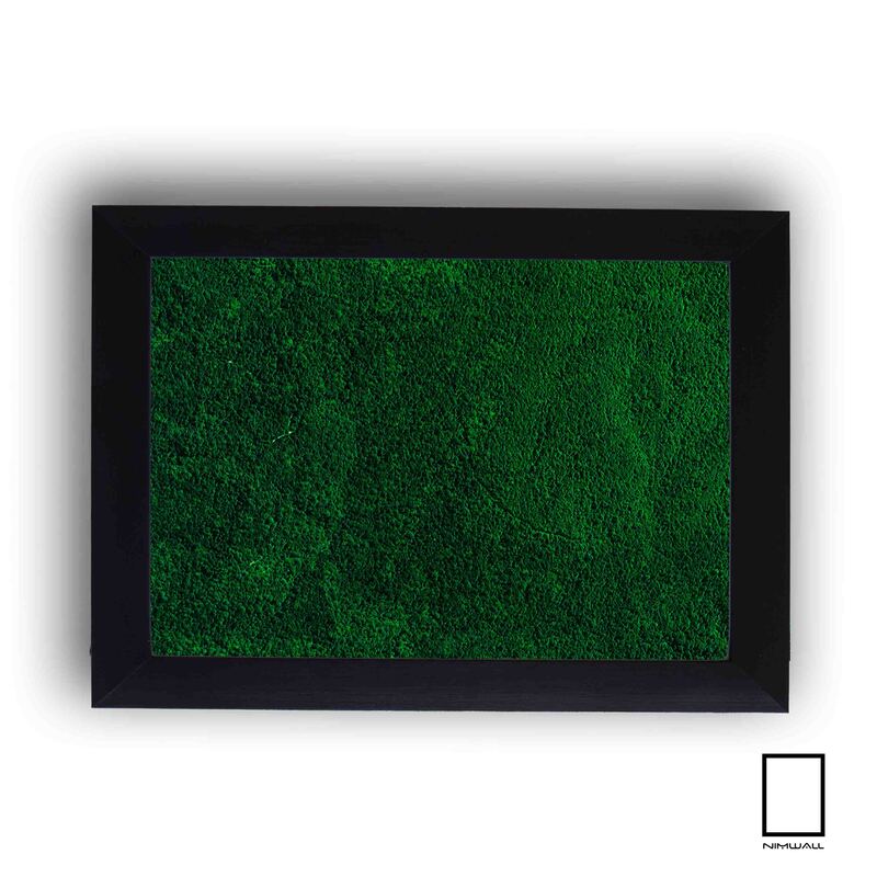 تابلو های « ایران من » تصویر ماهواره ای گلستان مدل N-91034