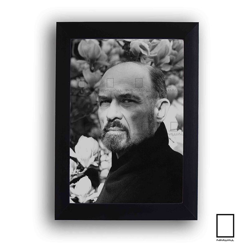 تابلو عکس اروین یالوم Irvin Yalom مدل N-25156