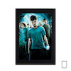 پوستر فیلم هری پاتر harry poter مدل N-22747