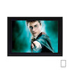 تابلو فیلم هری پاتر harry poter مدل N-22749
