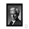 تابلو عکس برتراند راسل Bertrand Russell مدل N-25265