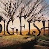 پوستر  فیلم ماهی بزرگ Big Fish مدل N-22845