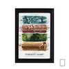 تابلو فیلم فارست گامپ Forrest Gump مدل N-22853