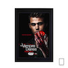 تابلو سریال ومپایر ( خاطرات خون آشام ) The Vampire Diaries مدل N-54230