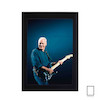 تابلو دیوید گیلمور David Gilmour از پینک فلوید مدل N-55279