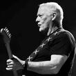 تابلو دیوید گیلمور David Gilmour از پینک فلوید مدل N-55281