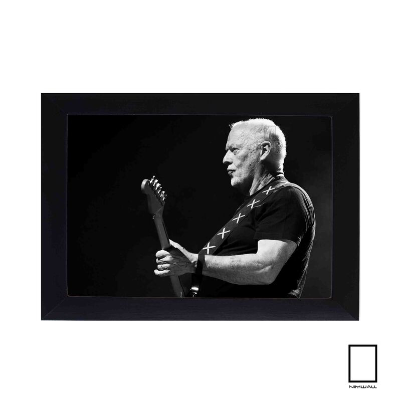 تابلو دیوید گیلمور David Gilmour از پینک فلوید مدل N-55281