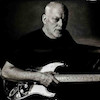 تابلو دیوید گیلمور David Gilmour از پینک فلوید مدل N-55282