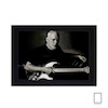 تابلو دیوید گیلمور David Gilmour از پینک فلوید مدل N-55282