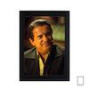 تابلو عکس جو پشی Joe Pesci مدل N-22996