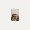 Williamest photocards 