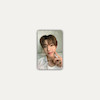 TeeteePor photocards 