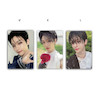 Felix sweet photocards 