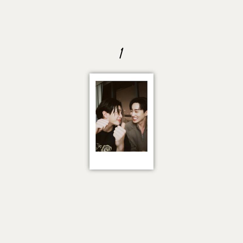 Williamest Polaroids