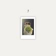 Williamest Polaroids