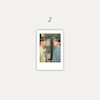Williamest Polaroids