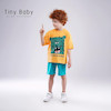 ست Tiny  ببر خال خالی-E127-