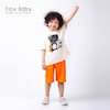 ست دایناسور-TINY-E130