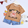 ست خرس NOVEY-E187