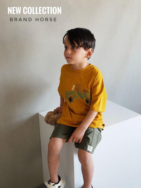 ست طرح آروین E480