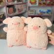 خوک کوله دار ۲۵سانت 