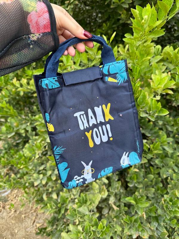 لانچ بگ‌ طرحدار