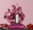 اسانس عطر کلوین کلین ایفوریا زنانه | Calvin Klein Euphoria for Women