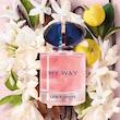 اسانس عطر جورجیو آرمانی مای وی | GIORGIO ARMANI – My Way