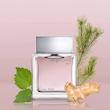 عطر کلوین کلاین ایفوریا فور من | Calvin Klein – Euphoria for Men