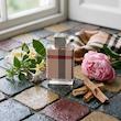 اسانس عطر باربری لندن | Burberry London for Women