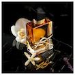 اسانس عطر لیبر ایو سن لوران | YSL Libre