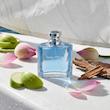 اسانس عطر ناوتیکا وویاژ | NAUTICA Voyage