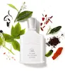 اسانس عطر کرید سیلور مانتین | CREED Silver Mountain Water