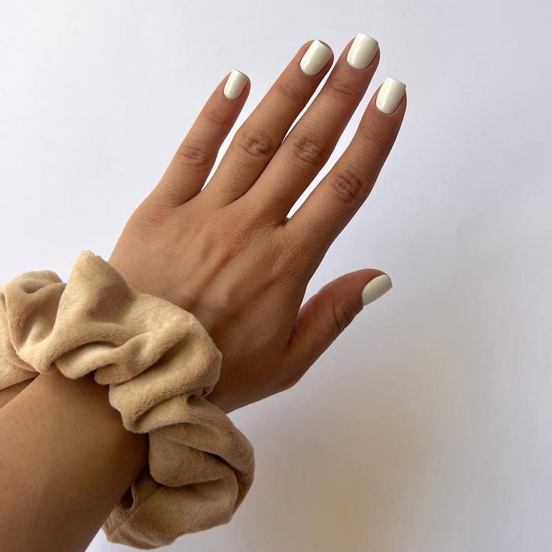 اسکرانچی مخمل