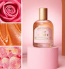  عطر ادوتویلت اوه سوییت دولسه دلچه اوریفلیم