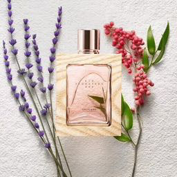 https://nogolbeauty.ir/